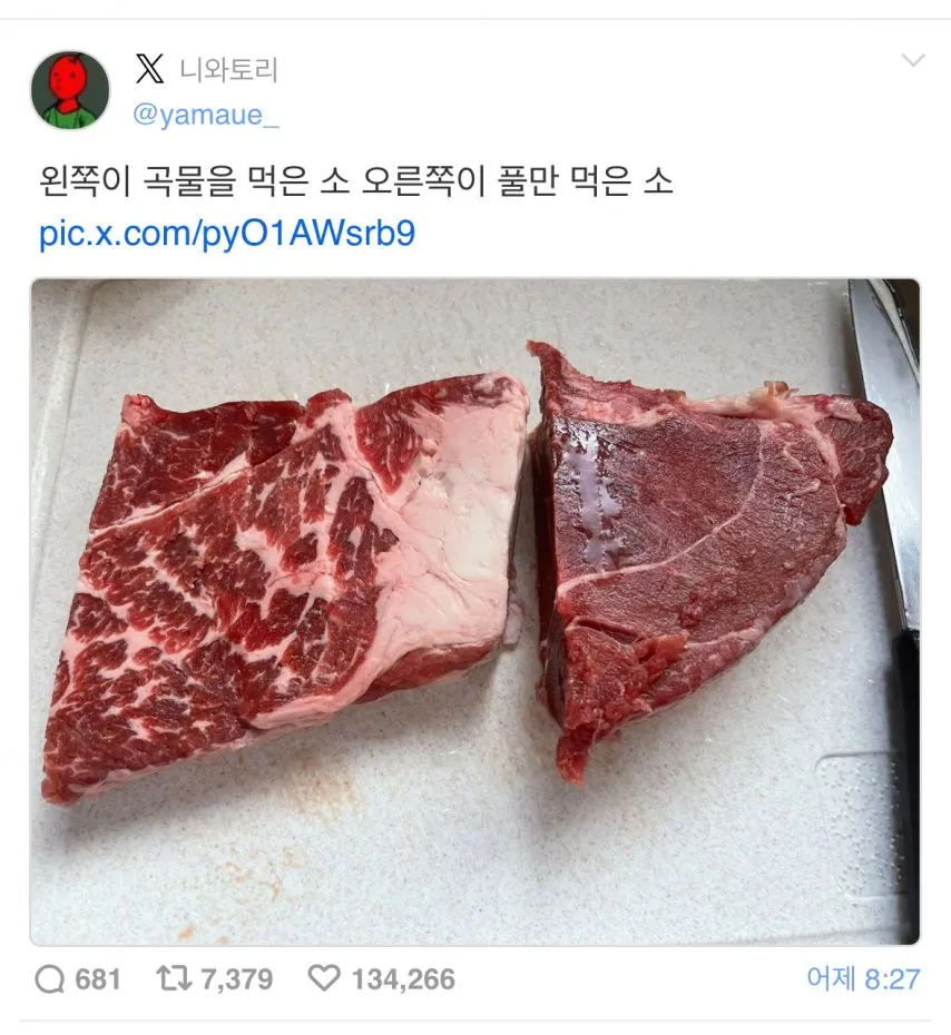 곡물먹은 소와 풀만 먹은 소 육질 차이.jpg