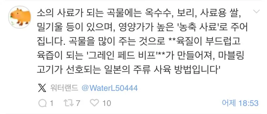 곡물먹은 소와 풀만 먹은 소 육질 차이.jpg