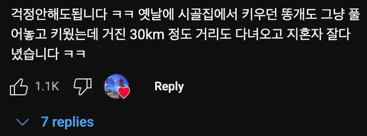 산티아고에서 댕댕이🐶한테 먹을 것 주면 큰일나는 이유