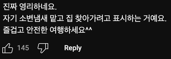 산티아고에서 댕댕이🐶한테 먹을 것 주면 큰일나는 이유