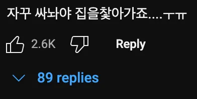 산티아고에서 댕댕이🐶한테 먹을 것 주면 큰일나는 이유