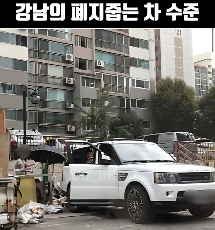 강남 폐지줍는 노인