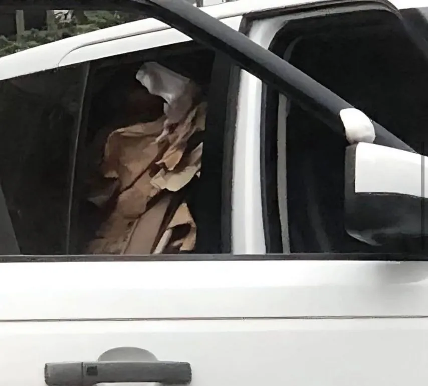 강남 폐지줍는 노인