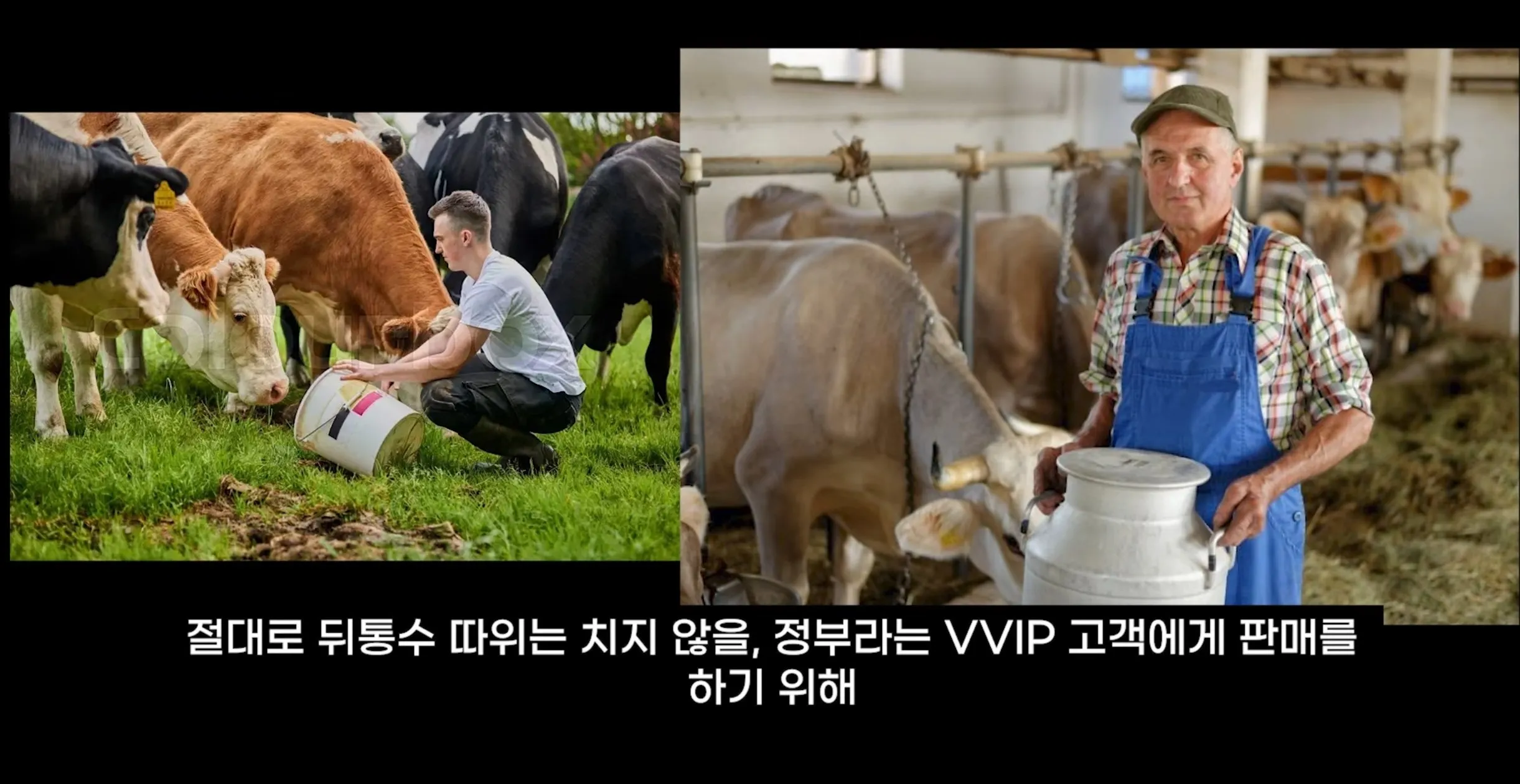 팔고 남은 우유를 정부가 전부 사주자 생긴 일.jpg