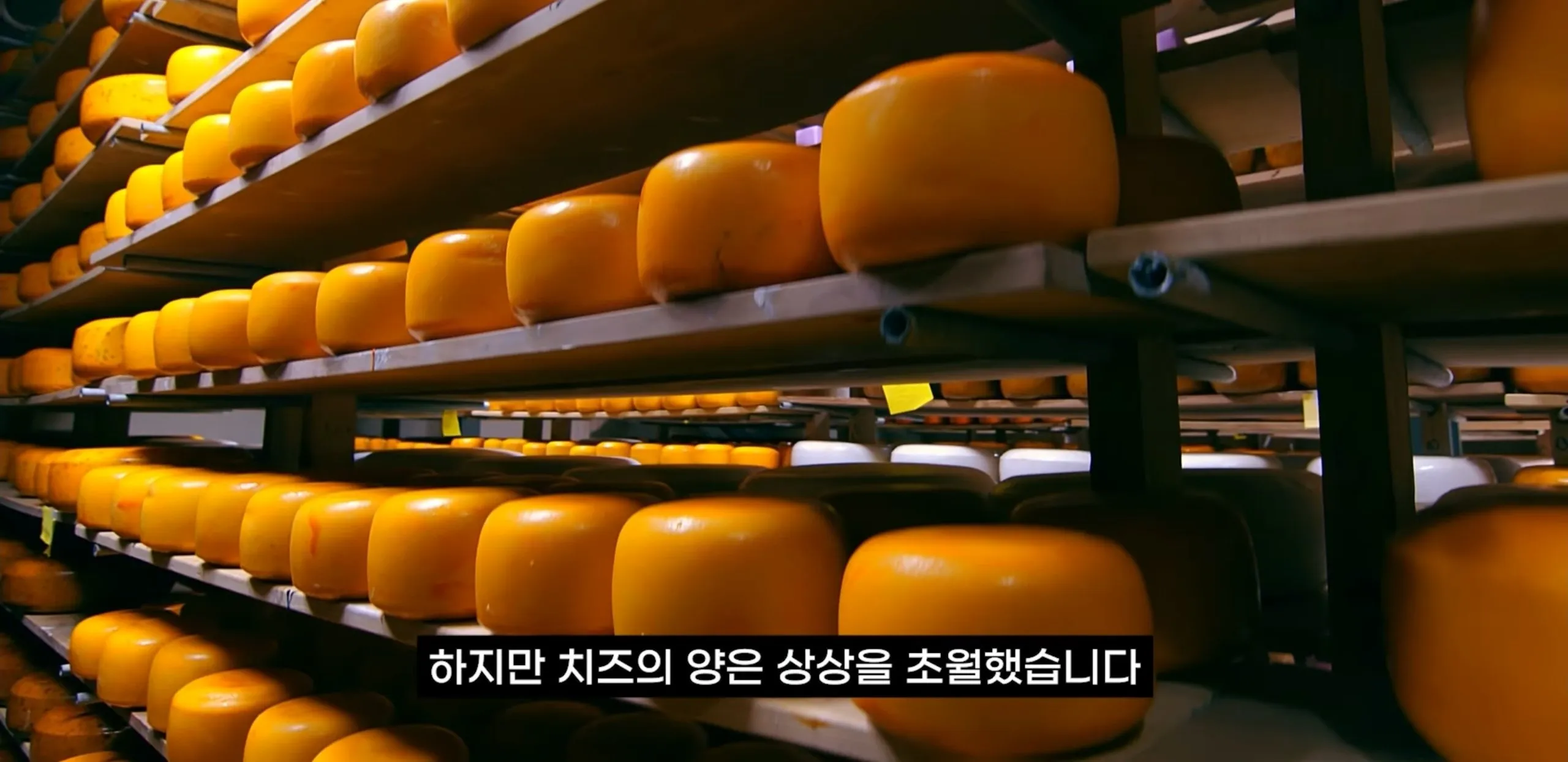팔고 남은 우유를 정부가 전부 사주자 생긴 일.jpg