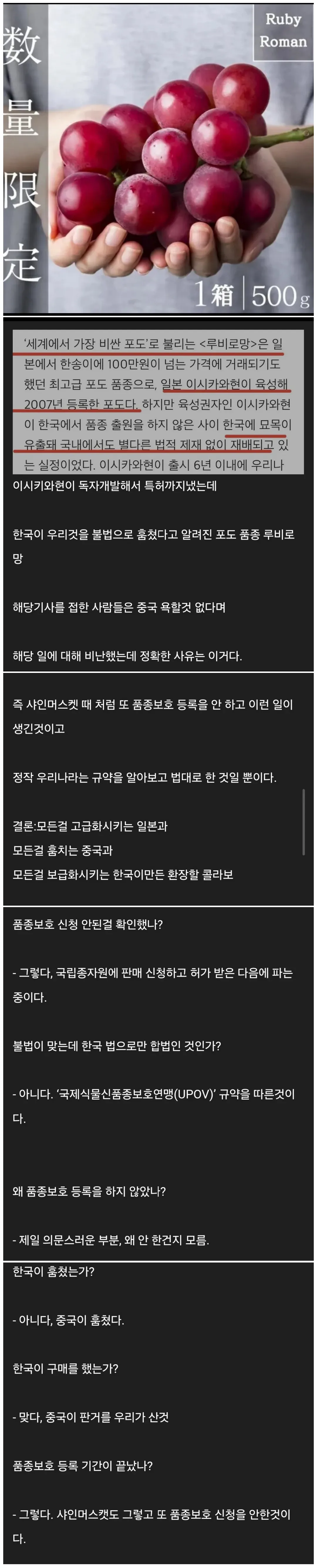 제 2의 샤인 머스켓 사태