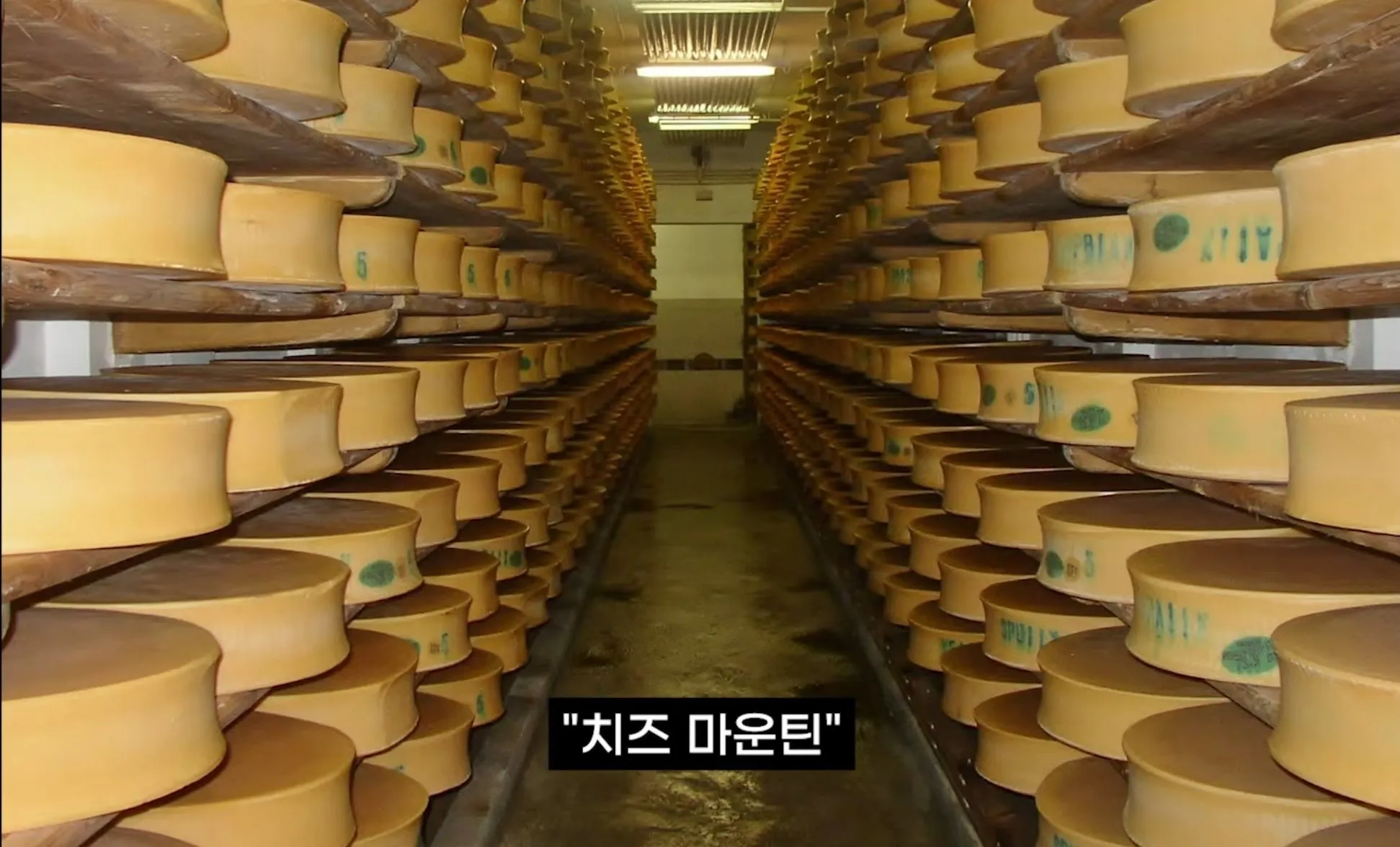 팔고 남은 우유를 정부가 전부 사주자 생긴 일.jpg