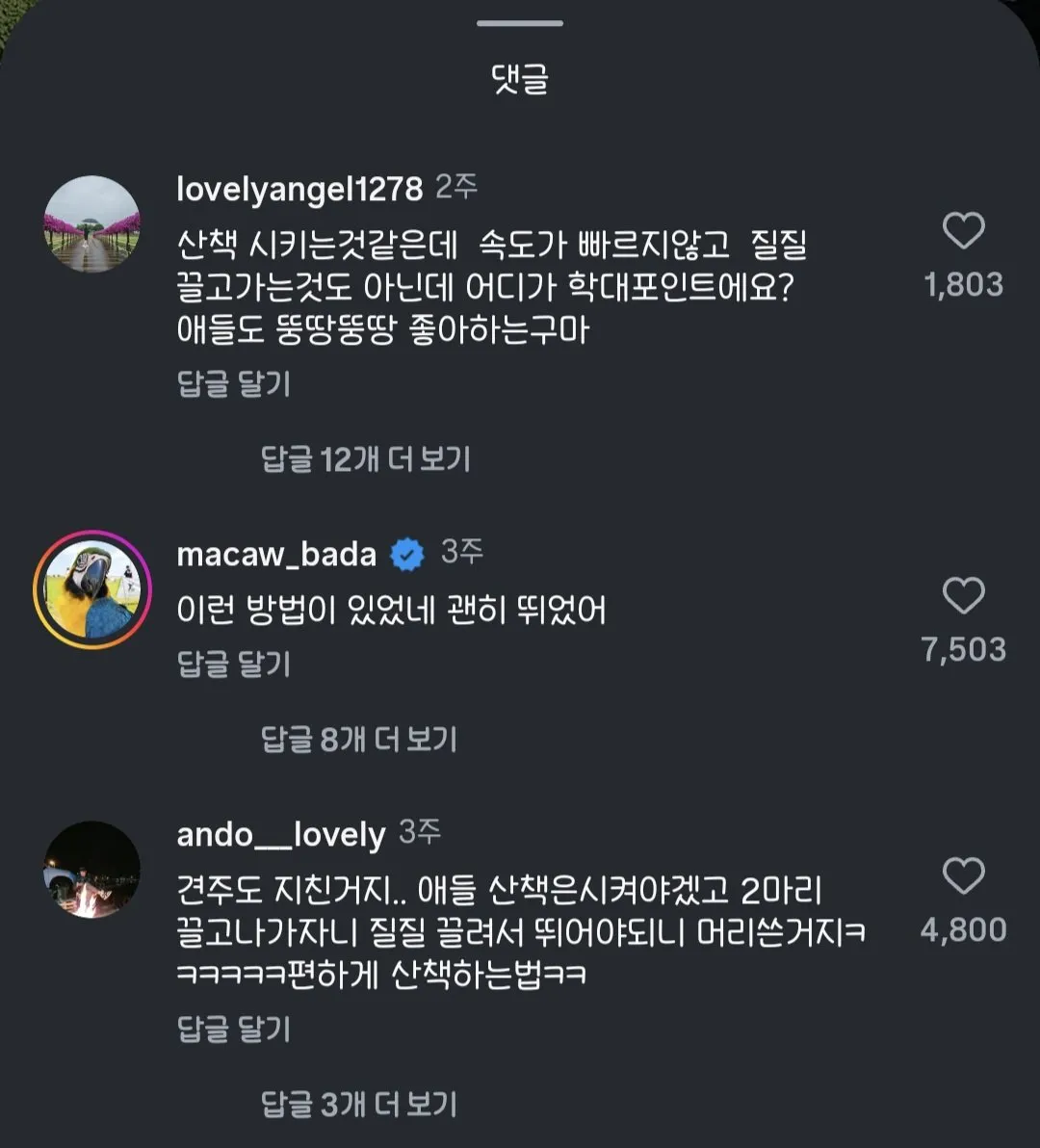 인스타에서 학대 아니냐고 처음에 말나왔던 강아지 영상.mp4