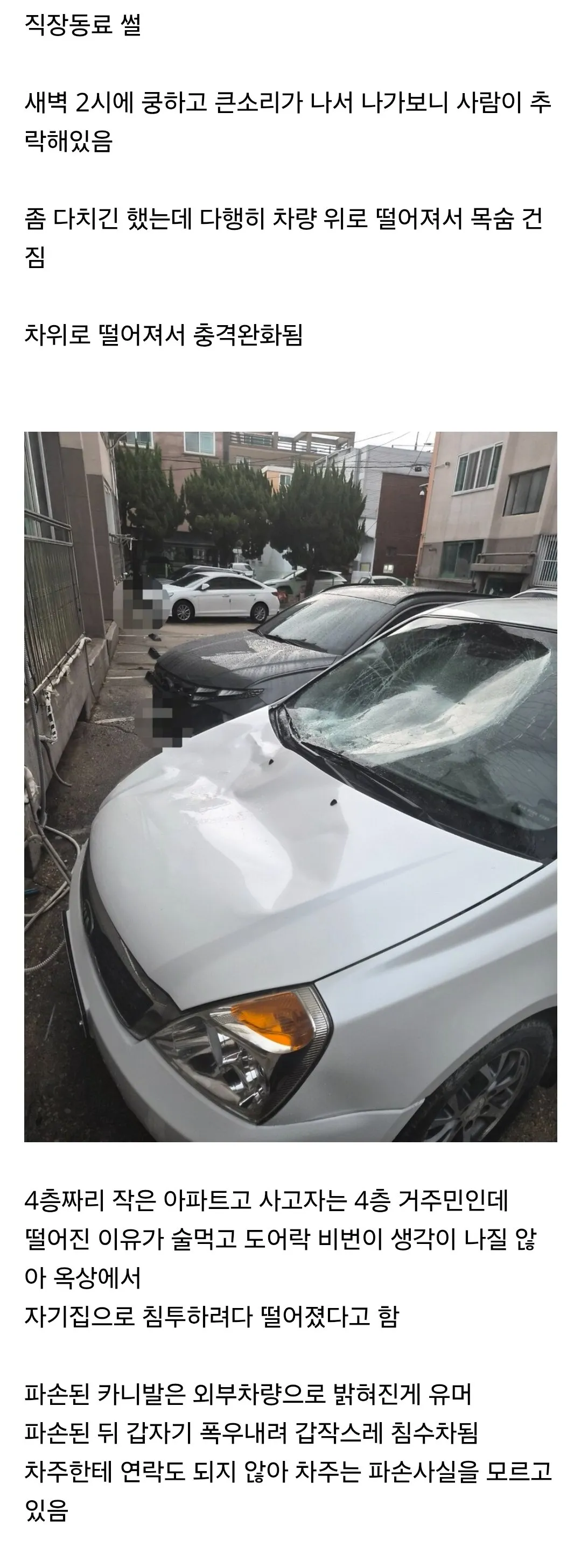 새벽 2시에 사람이 차위로 떨어졌다.jpg