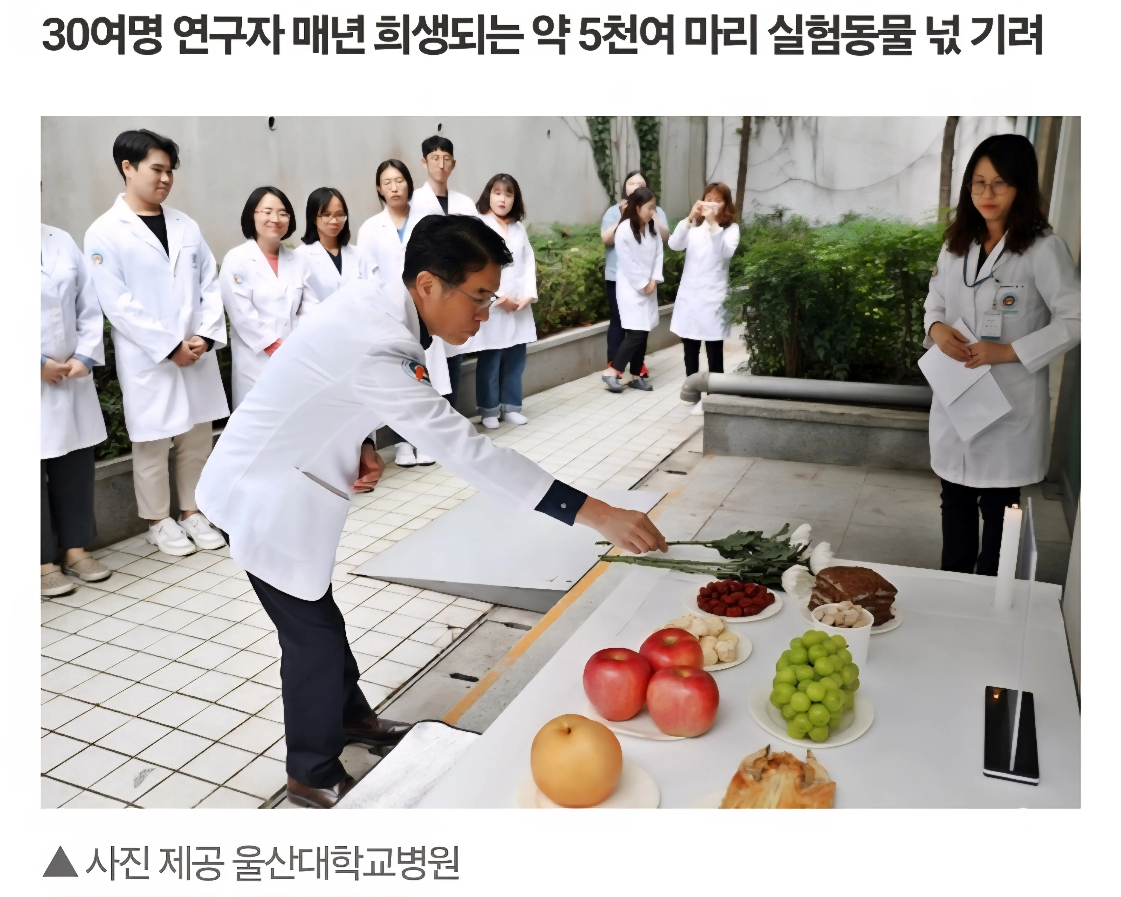 매년 연구기관에서 하는 제사.....jpg