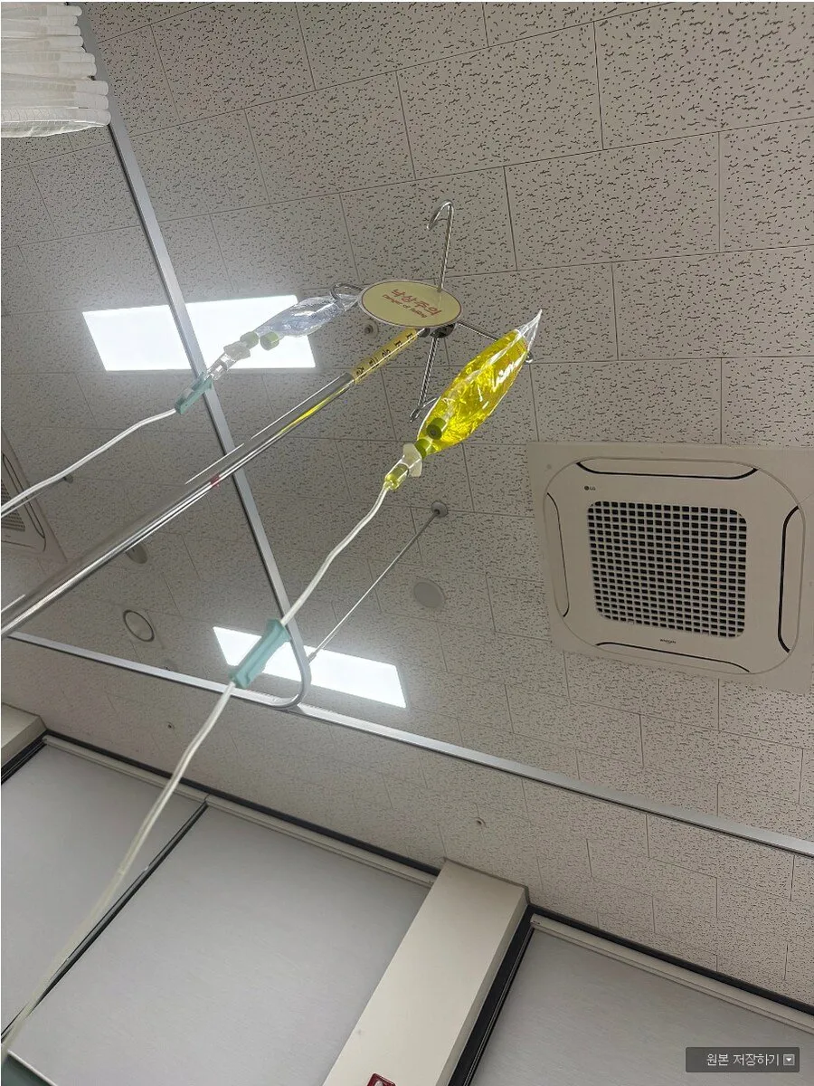 위스키 1L 를 다마셔버린 스트리머