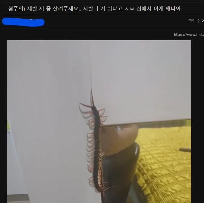 혐) 제발 저 좀 살려주세요... + 친절한 정보 댓글.jpg
