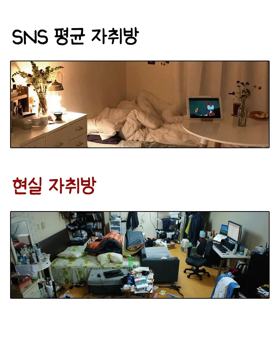 SNS가 망친 평균 VS 현실 평균...