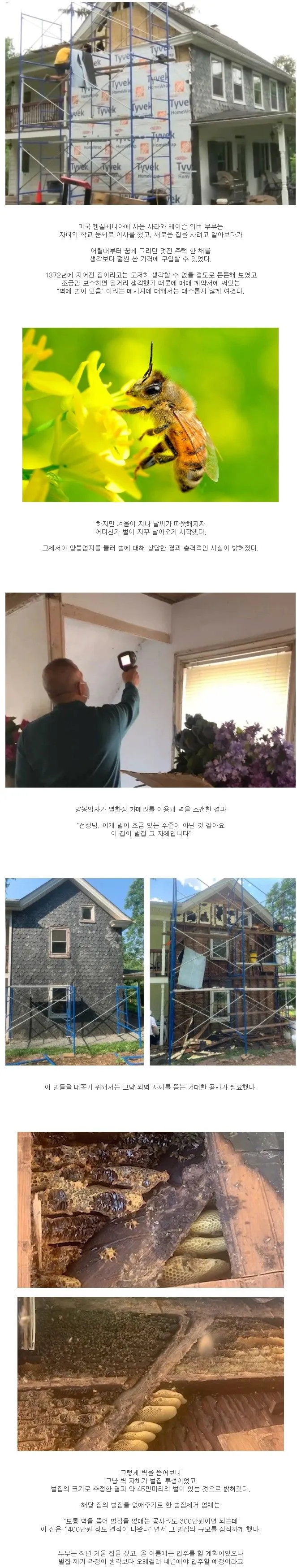 집을 산다는 게 벌집을 산 부부.
