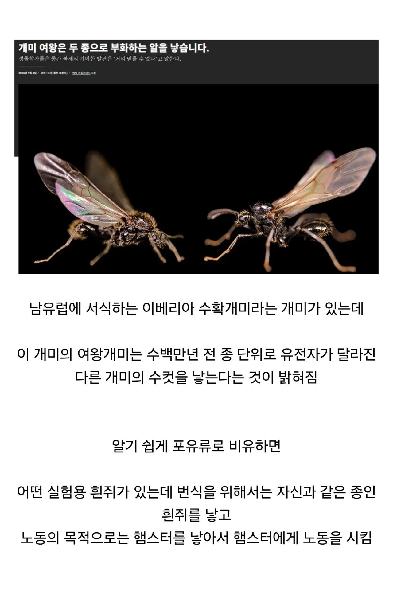 최근 생물학자들이 기겁한 황당한 개미