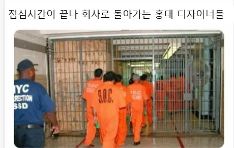 외국 밈 몇 개 퍼왔어