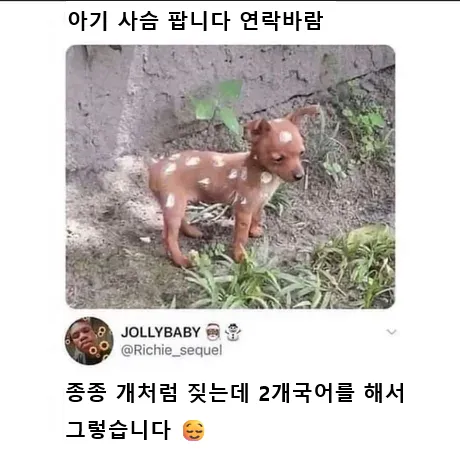 외국 밈 몇 개 퍼왔어