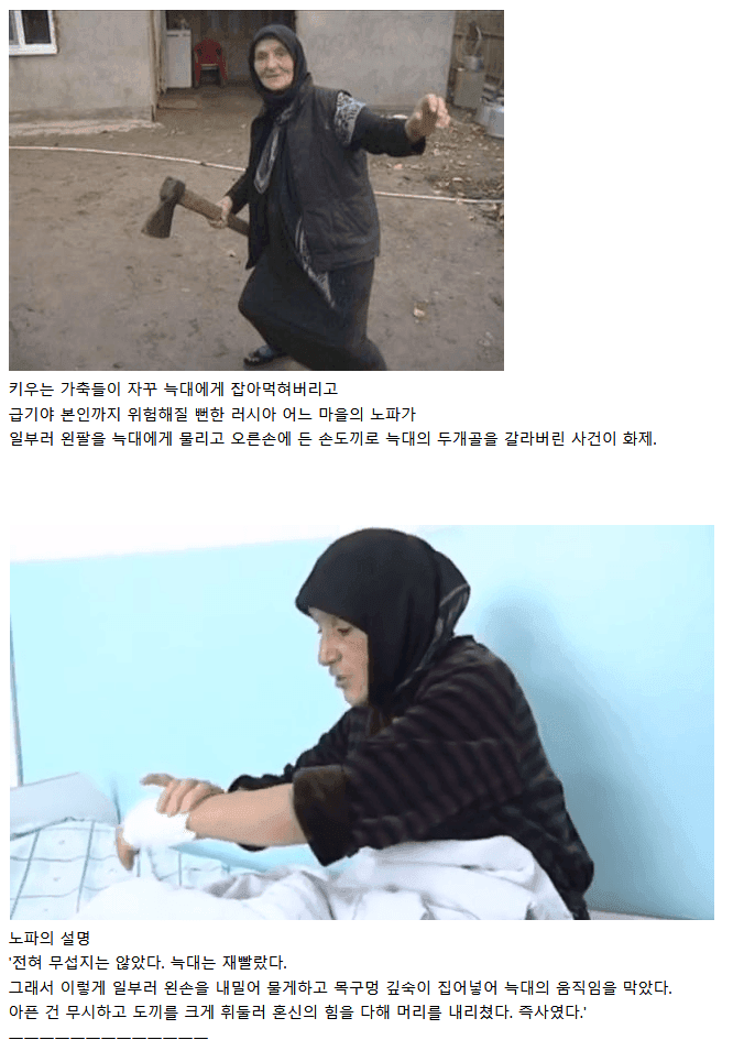 러시아 노파를 조심하시오