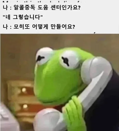 외국 밈 몇 개 퍼왔어