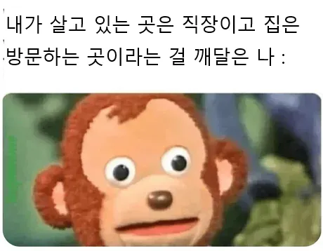 외국 밈 몇 개 퍼왔어