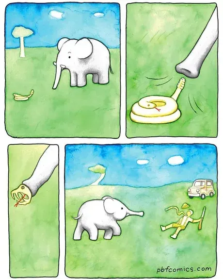 외국 밈 몇 개 퍼왔어
