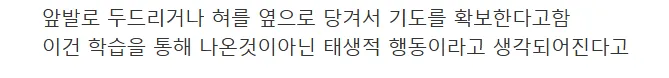 쥐가 심폐소생술 하는거 알고 있었음?