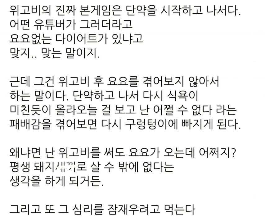디씨 위고비 갤러리에 올라온 요요 후기.jpg