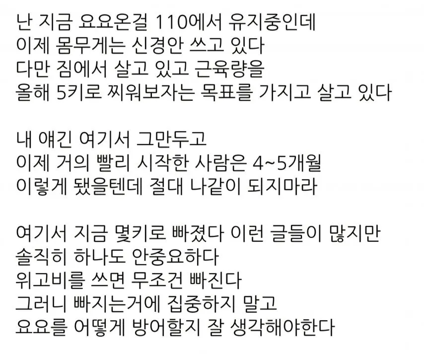 디씨 위고비 갤러리에 올라온 요요 후기.jpg