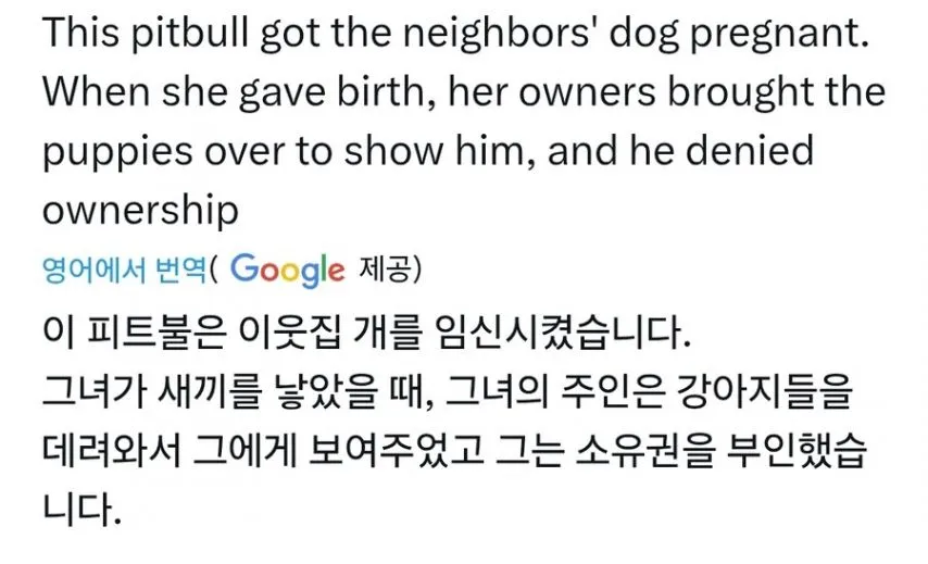 이웃집 개 임신시킨 핏불