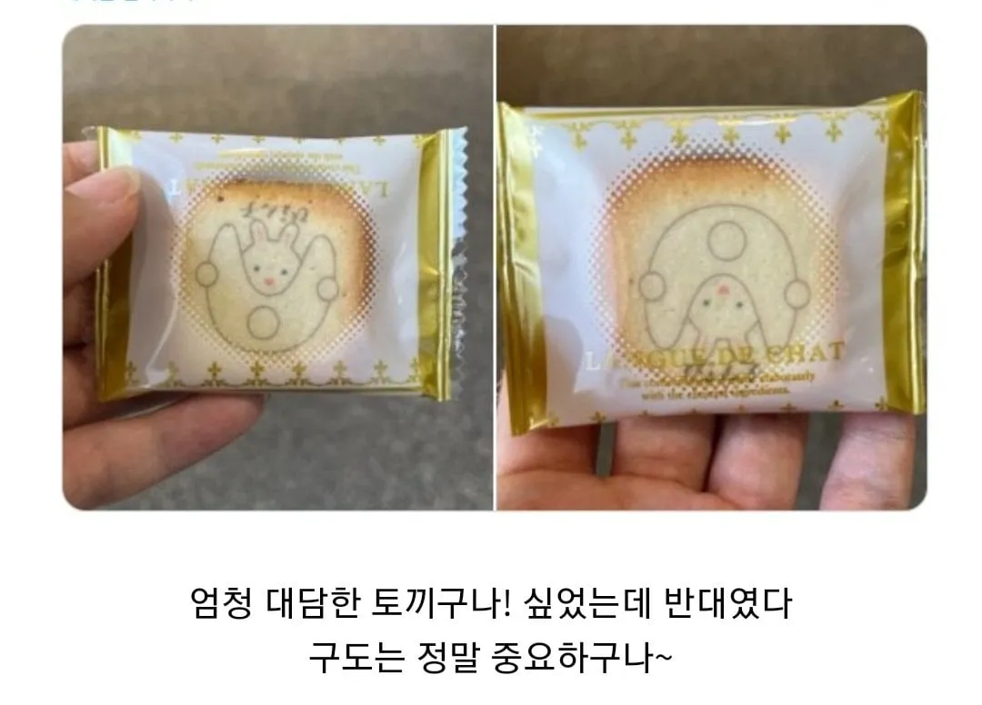 🐰내 엉덩이를 봐줘