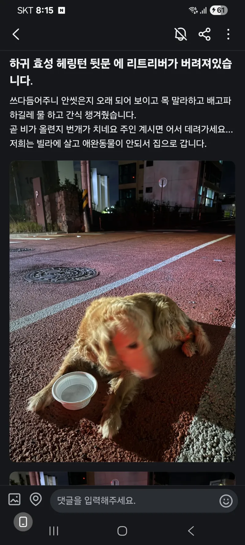 리트리버가 버려져있어요ㅠㅠ.jpg