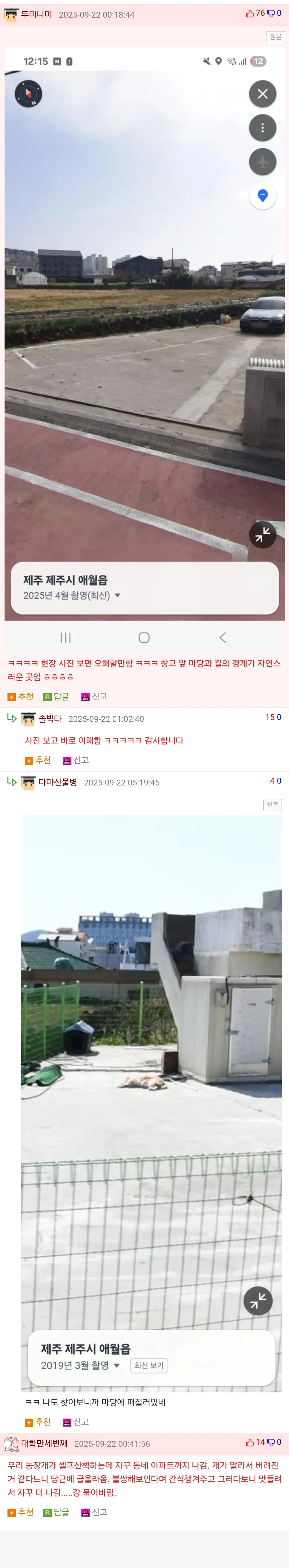 리트리버가 버려져있어요ㅠㅠ.jpg