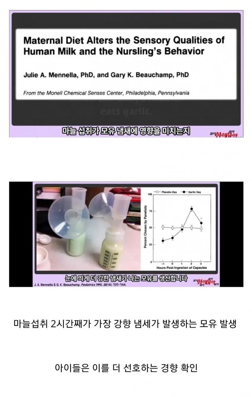 마늘 섭취가 모유에 미치는 영향