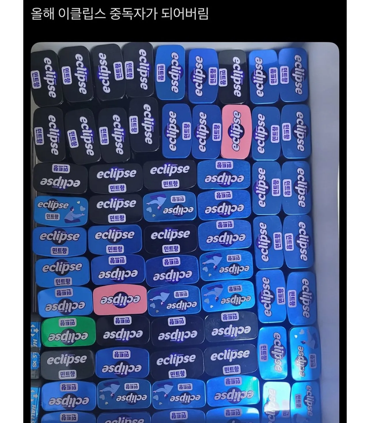 이클립스 빈통을 영원히 못버리는 사람들 모임.jpg