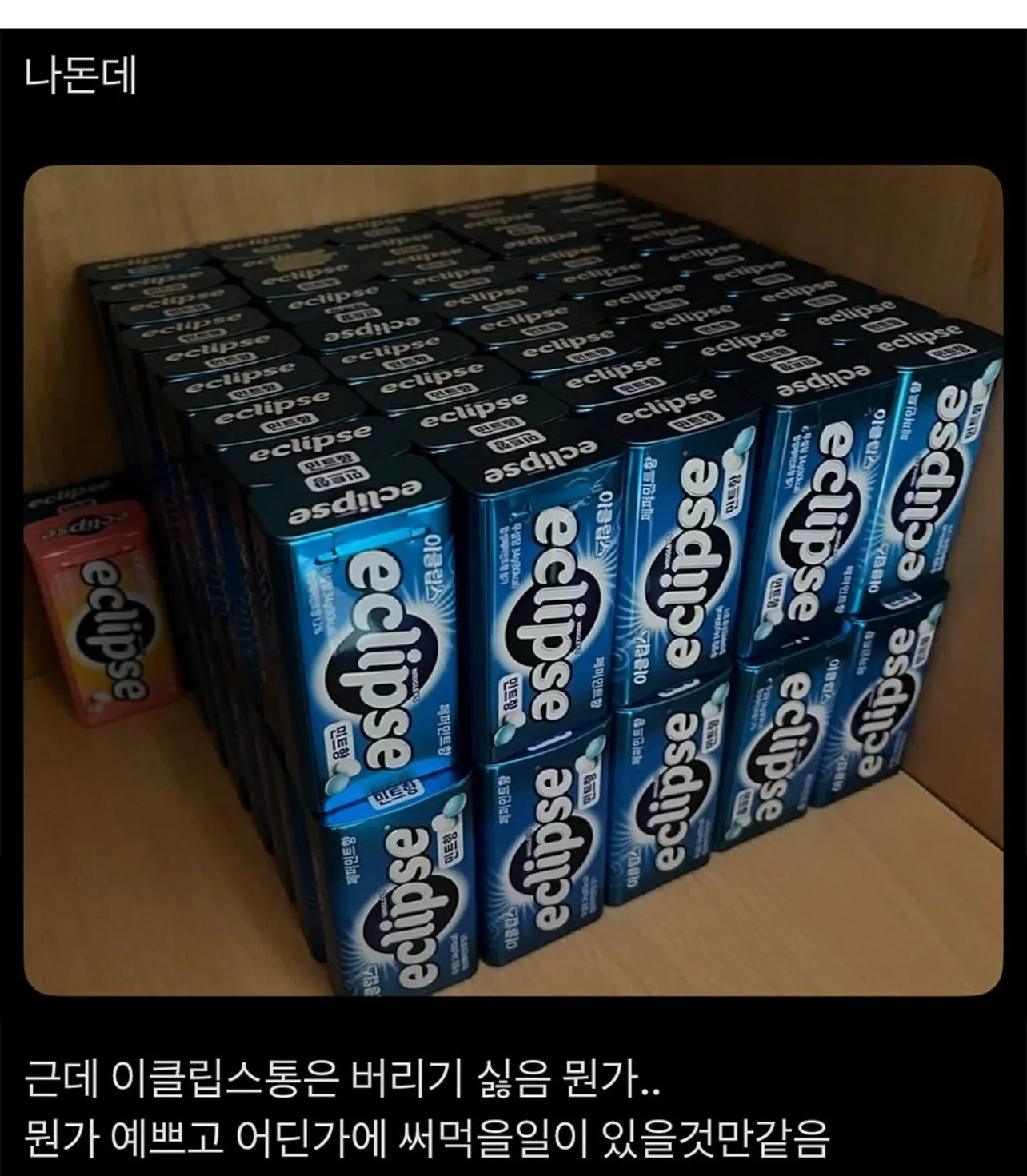 이클립스 빈통을 영원히 못버리는 사람들 모임.jpg