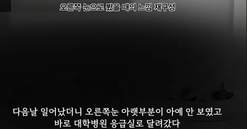 곧 의사를 대신할거 같은 챗gpt 근황