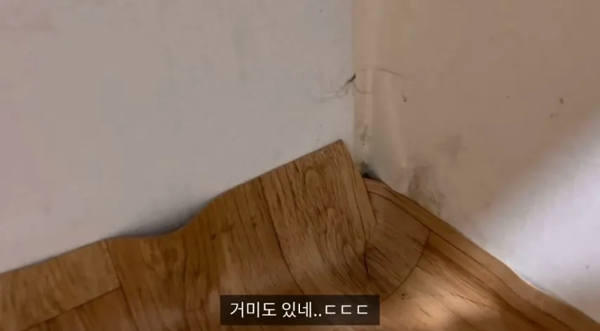 약혐)1만5천원 여인숙 체험한 유튜버.jpg