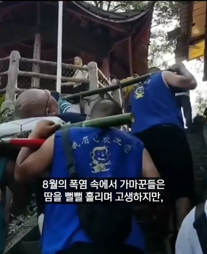 10시간동안 가마타고 등산했다는 130kg 중국재벌ㄷㄷ