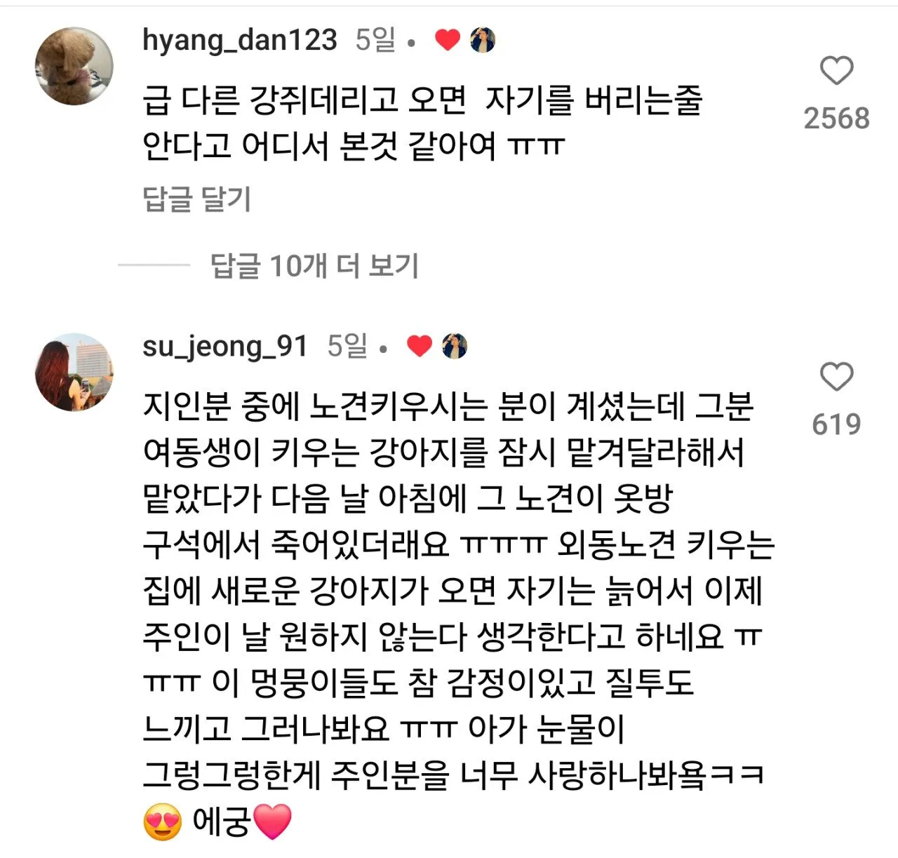 버려지는 줄 알고 눈물 그렁그렁한 강아지