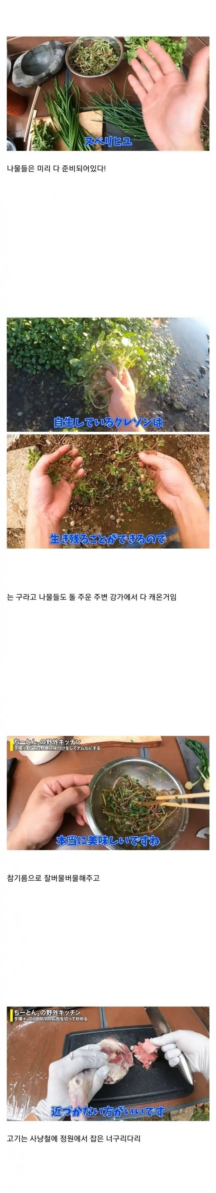 돌솥비빔밥 해먹는 일본인