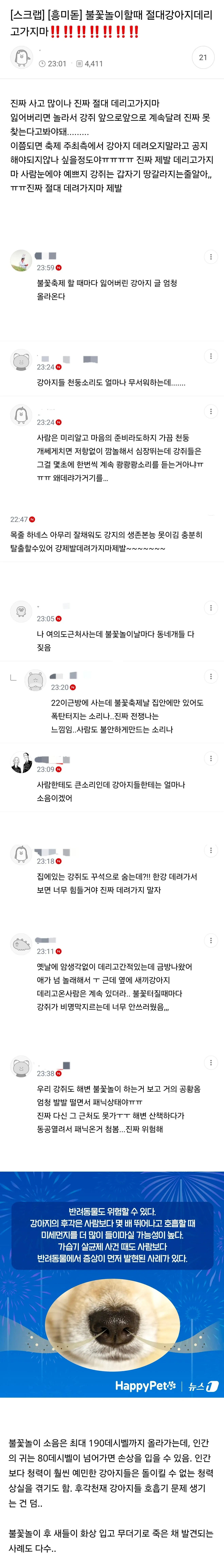불꽃축제할때 절대 강아지 데리고 가지마