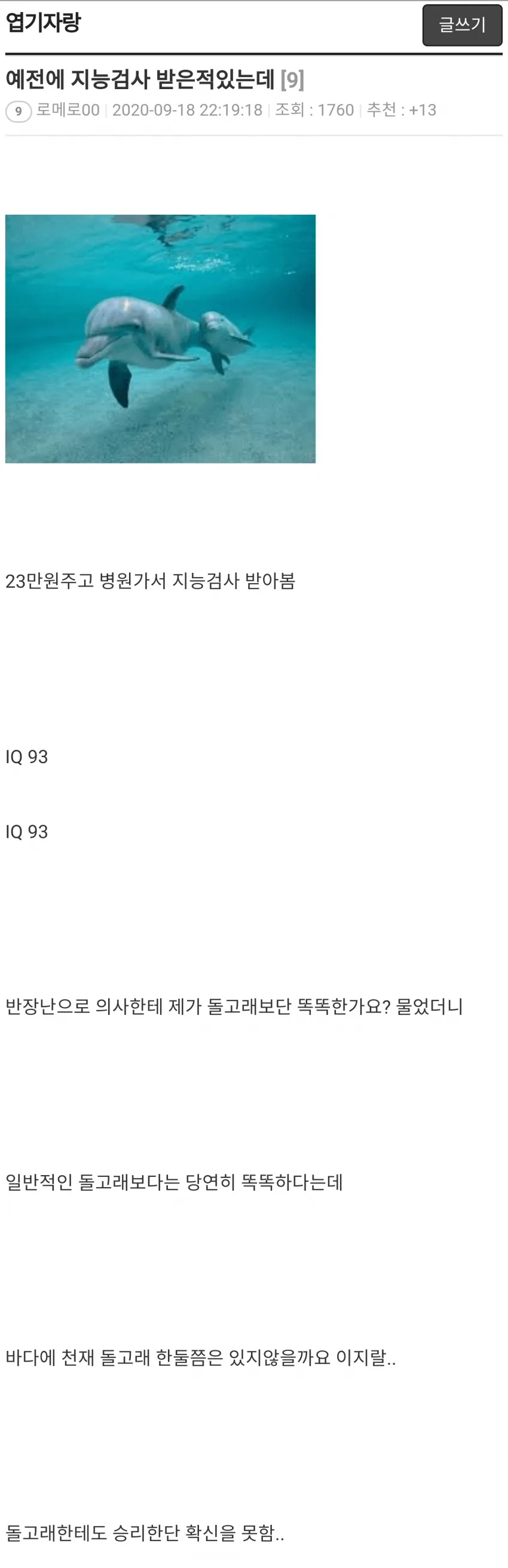 돌고래와의 지능배틀에서도 승리확신이 힘든 사람..