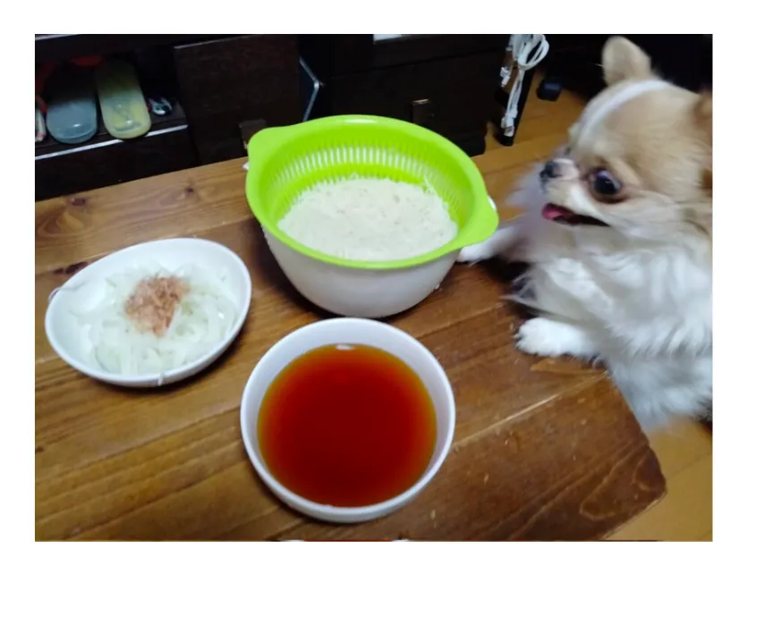 일본에서 난리난 국수 도둑