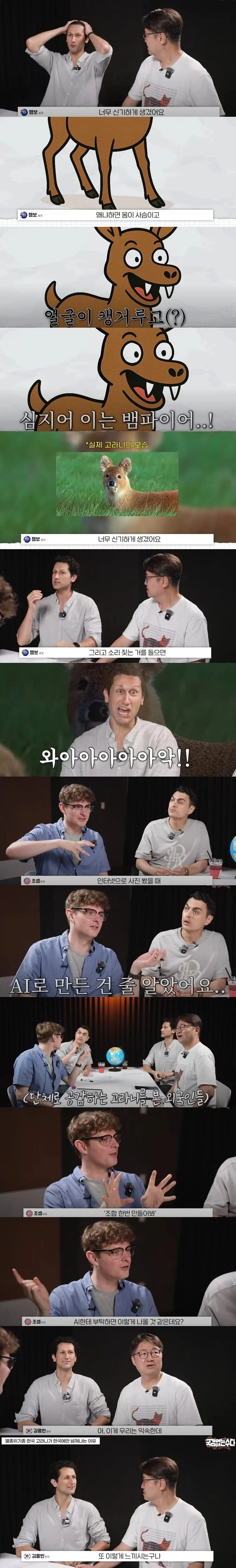 외국인들은 존재자체를 못믿겠다는 한국 토종 동물ㄷㄷㄷ.jpg