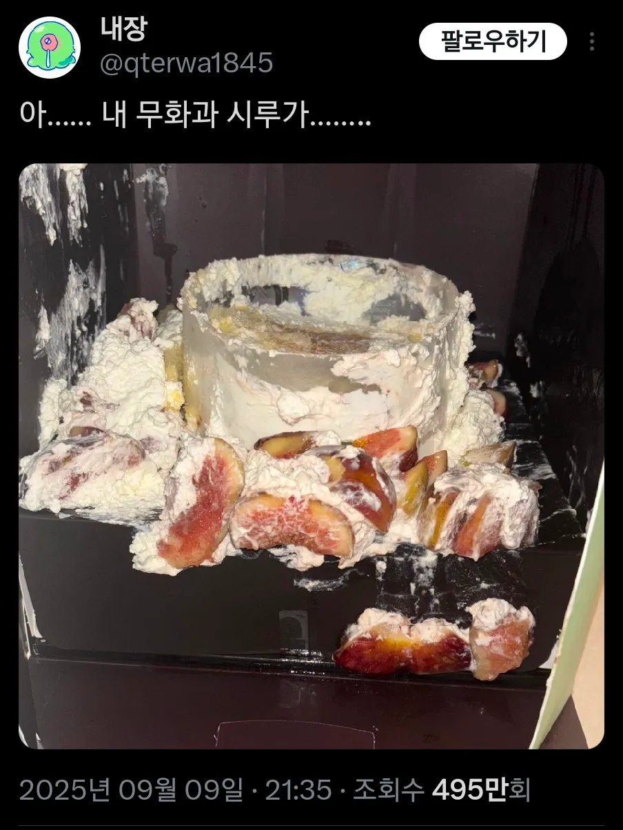 무화과 케이크를 엎질렀다.twt