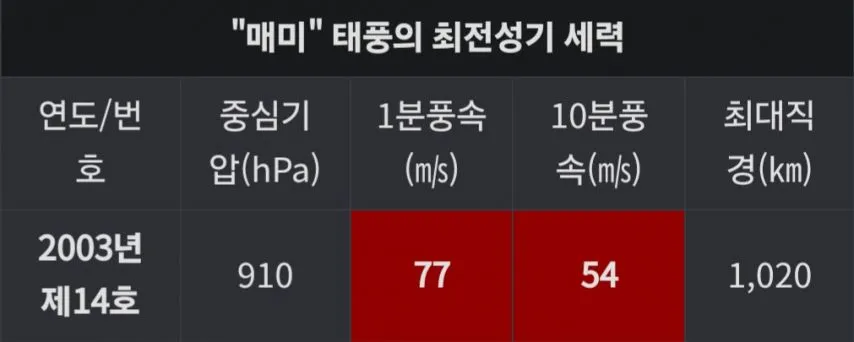 좀 쎈 태풍 영상