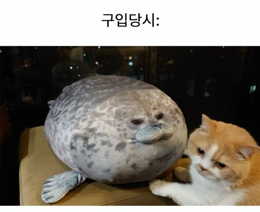 1년 전 수족관에서 산 인형 근황.jpg