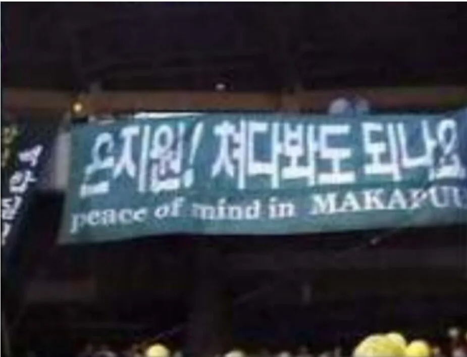 지금 보다 훨씬 살벌 했다던 1세대 아이돌 응원 문화