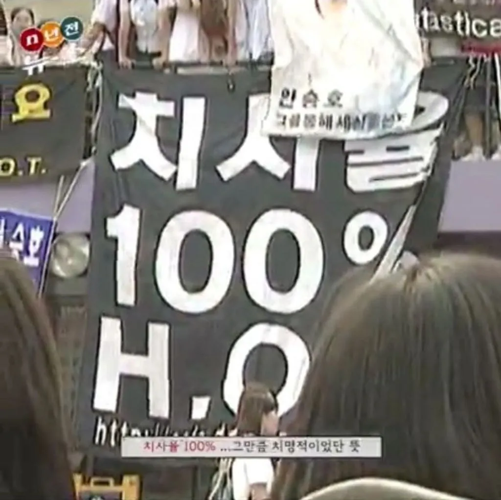 지금 보다 훨씬 살벌 했다던 1세대 아이돌 응원 문화