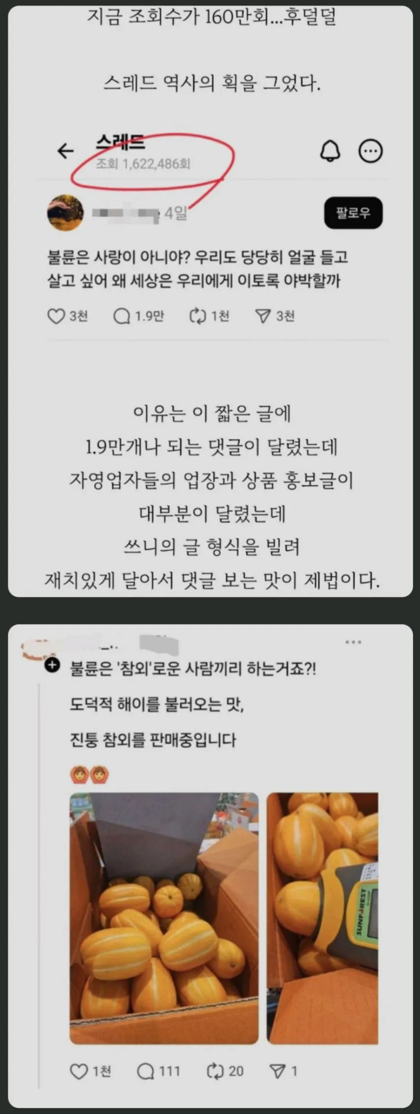 불륜은 사랑이 아니야?